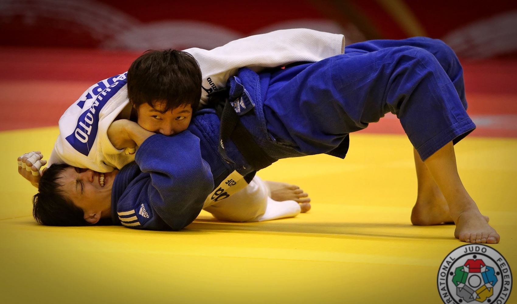 Newaza Judo